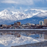 Anchorage T-Cell Lymphoma Patient Education Forum